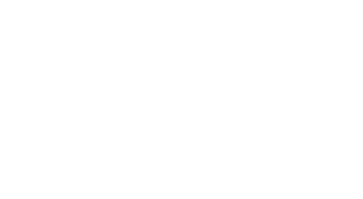 logo light